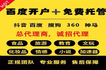 百度竞价广告成功案例：如何实现ROI最大化